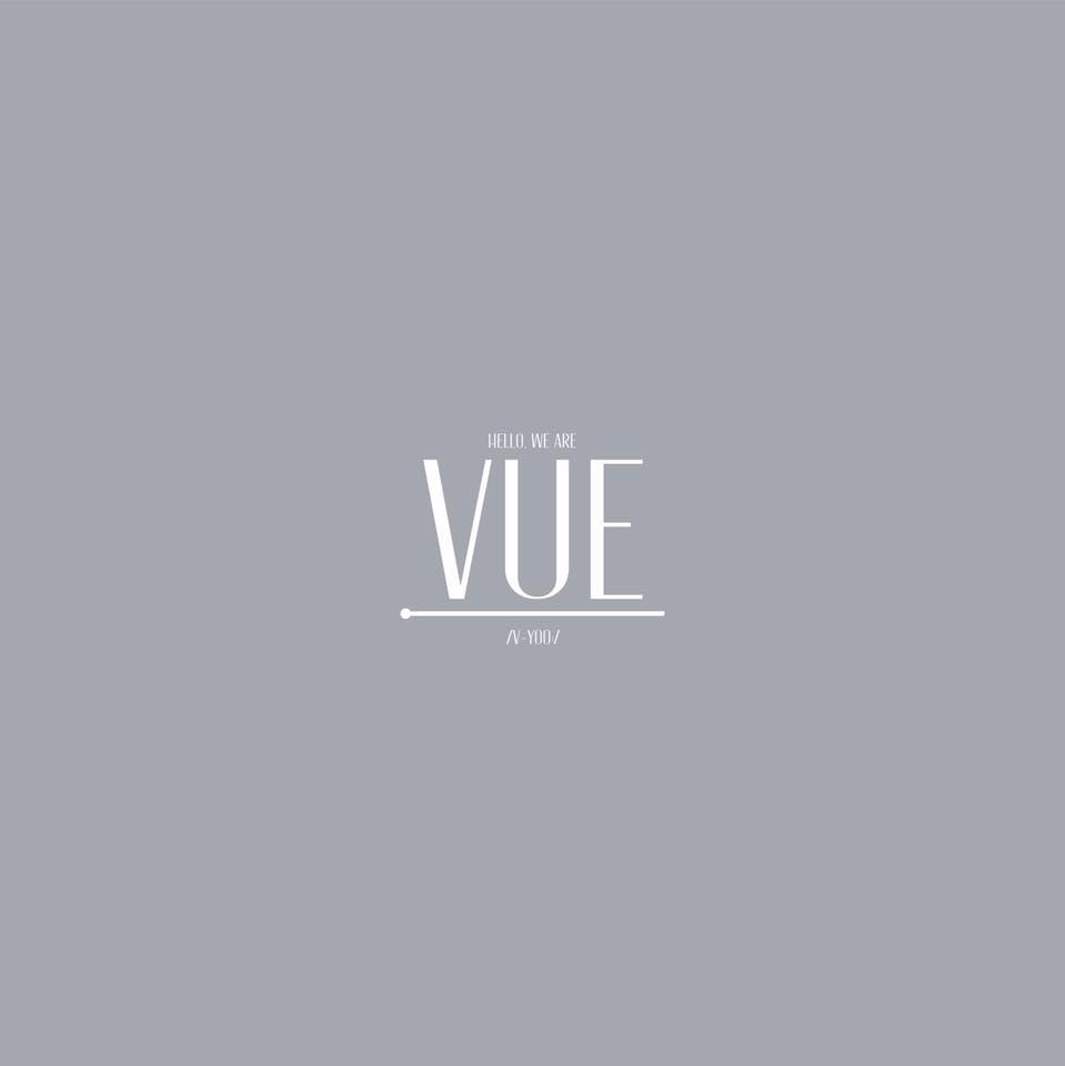 Minimalist gray logo with the word “VUE” in white centered on the page.