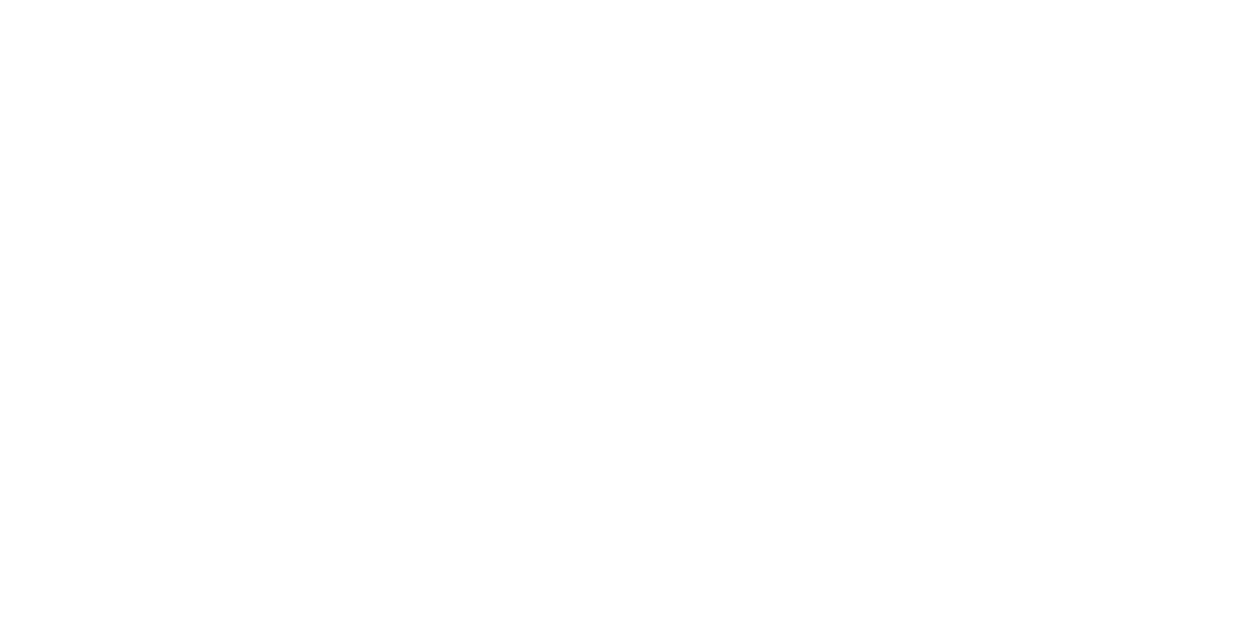 Blank white rectangle on a plain white background.