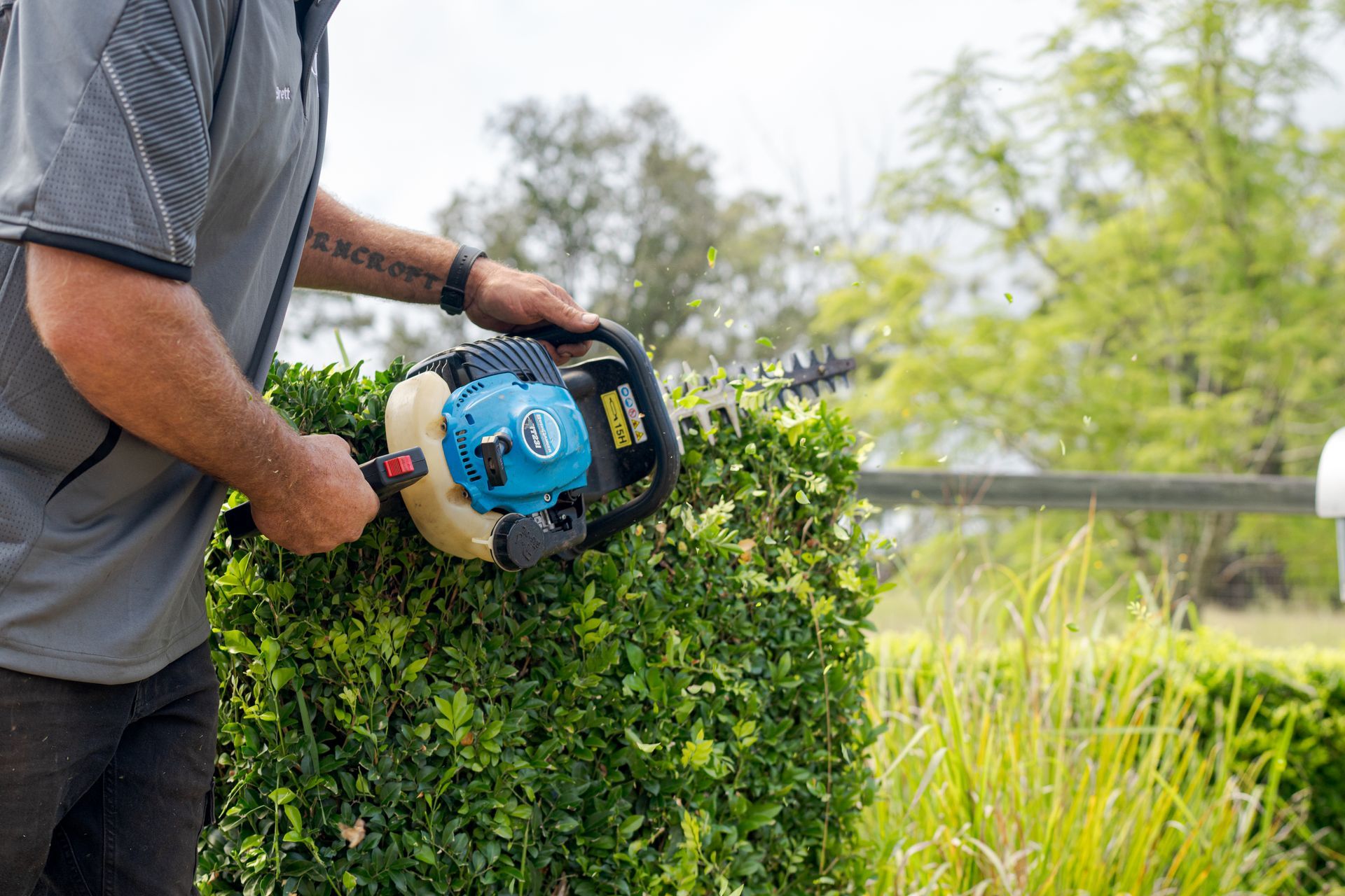 Person trimming a green hedge with a blue electric hedge trimmer in a sunny garden