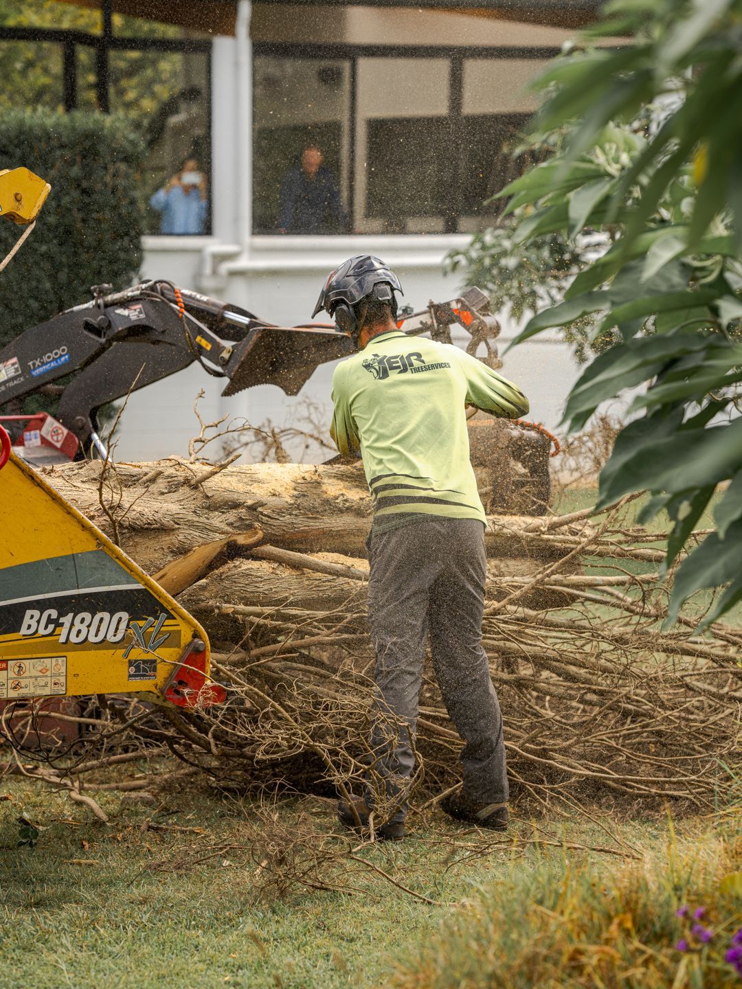 Worker with chainsaw clears fallen tree branches beside a wood chipper in a yard.