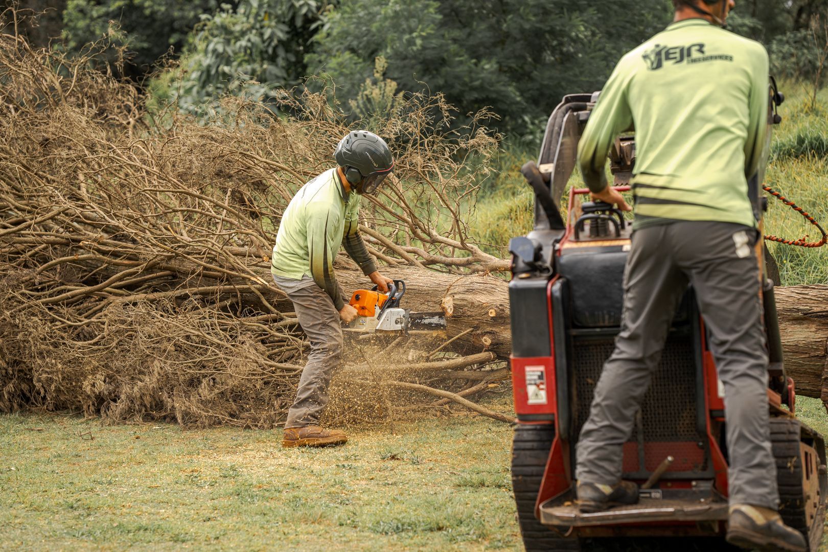 Workers using chainsaws to clear brush beside a red utility vehicle in a grassy field.