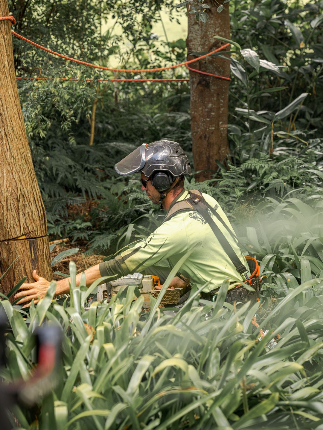 Person in a helmet and green shirt using a chainsaw on a tree in dense forest greenery