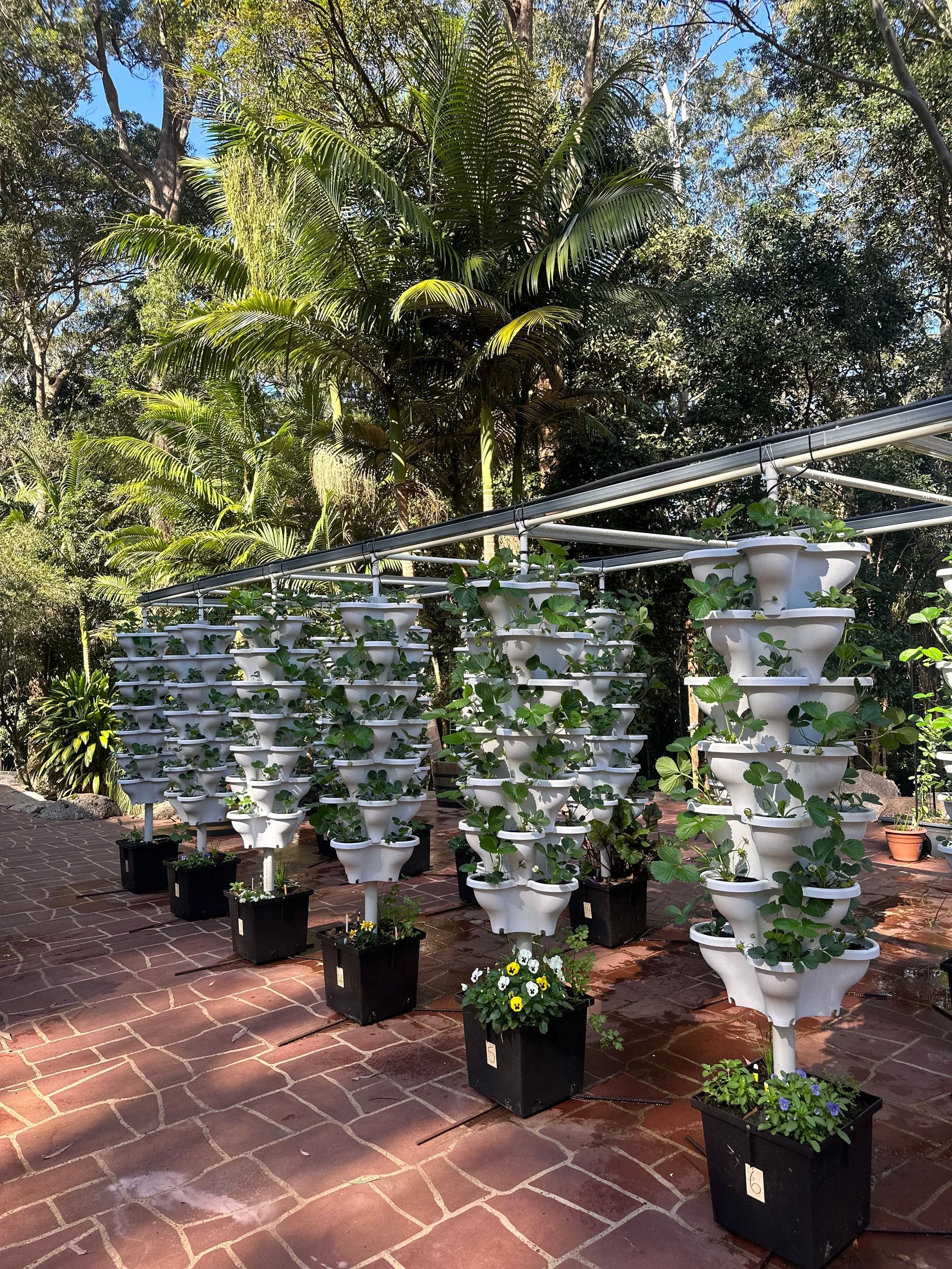 Hanging vertical planters with green foliage and flowers displayed outdoors on brick pavement
