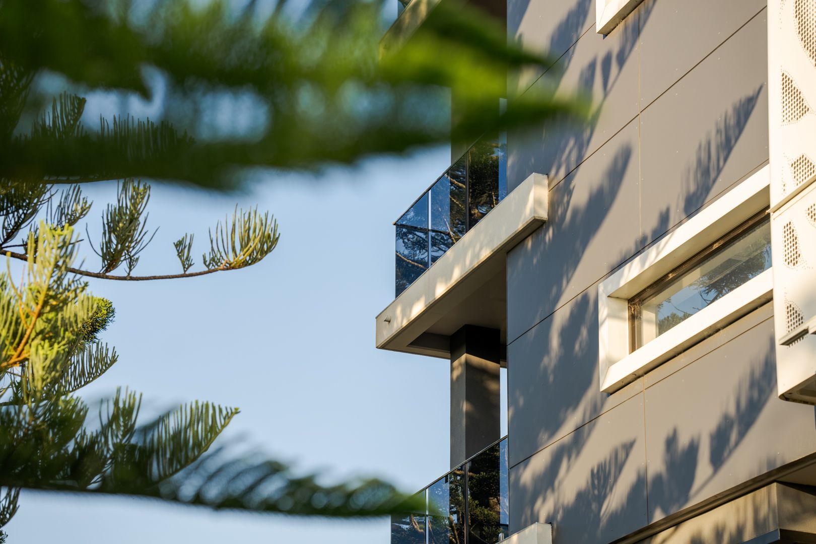 Modern building facade with sunlit windows, balcony, and blurred green tree branches in the foreground