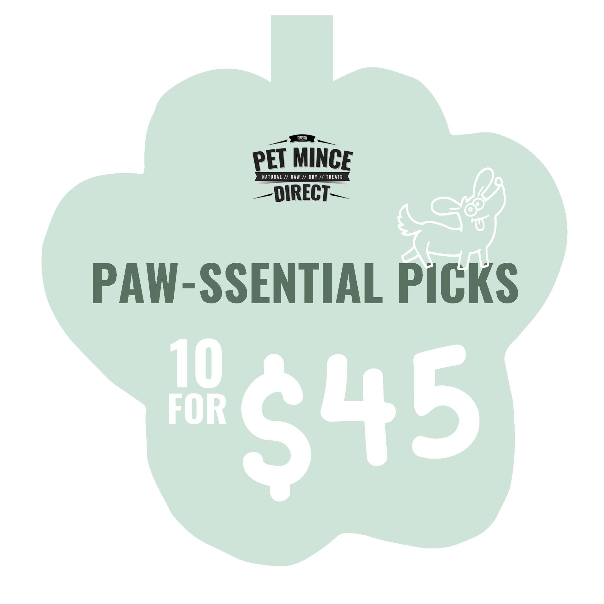 Mint-green pet store sign reading “Paw-sential Picks” and “10 for $45.”