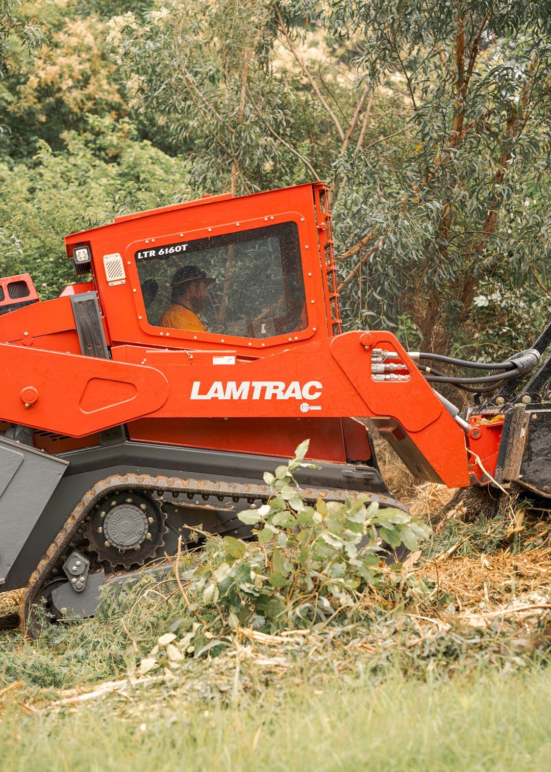 Red tracked skid steer clearing brush in a wooded area
