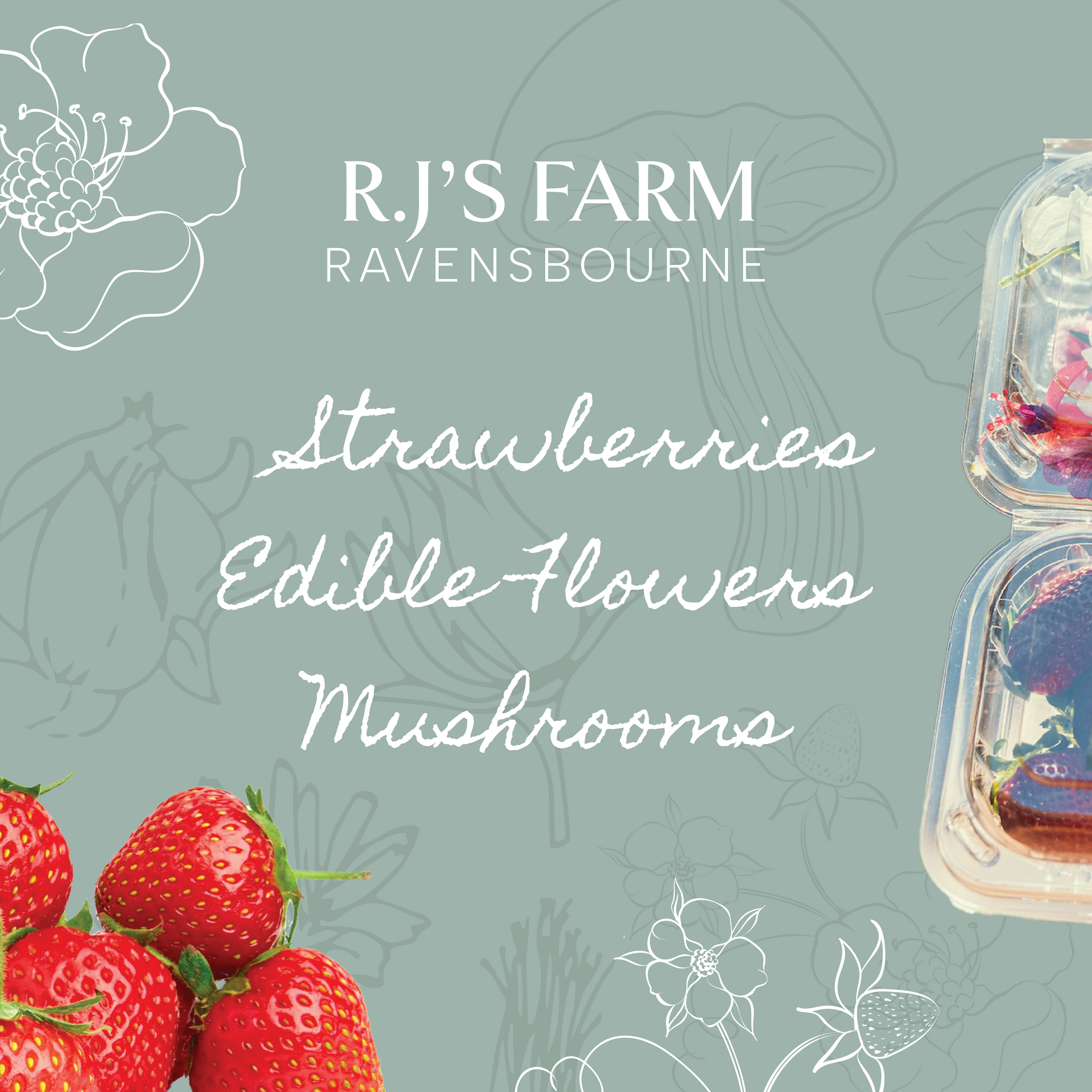RJ’s Farm Ravensbourne ad with strawberries, edible flowers, mushrooms on a pale green background