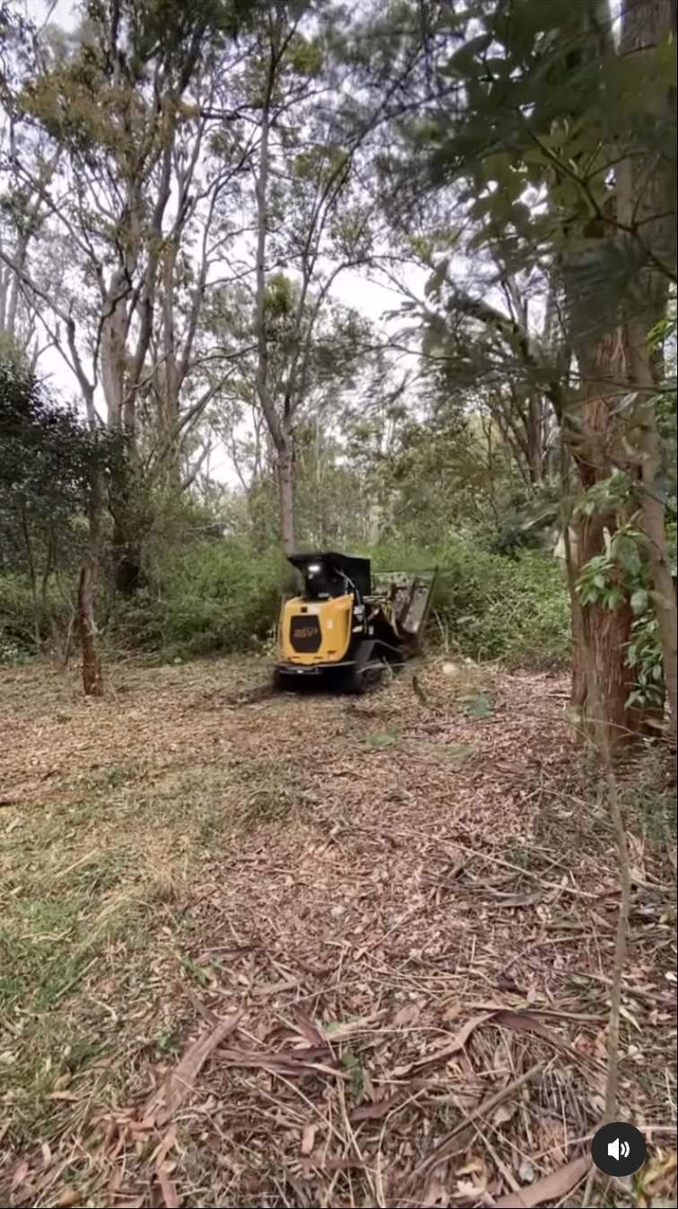 Yellow construction vehicle on a leaf-covered forest path surrounded by trees.