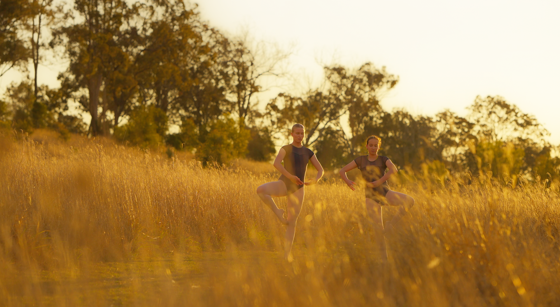 People walking through tall golden grass at sunset in a field with trees in the background