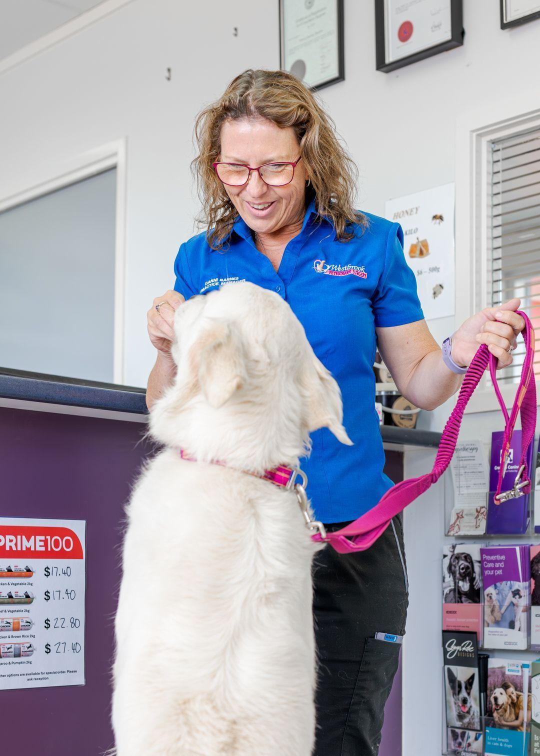 Grooming staff in blue shirt holding a pink leash beside a fluffy white dog in a pet salon