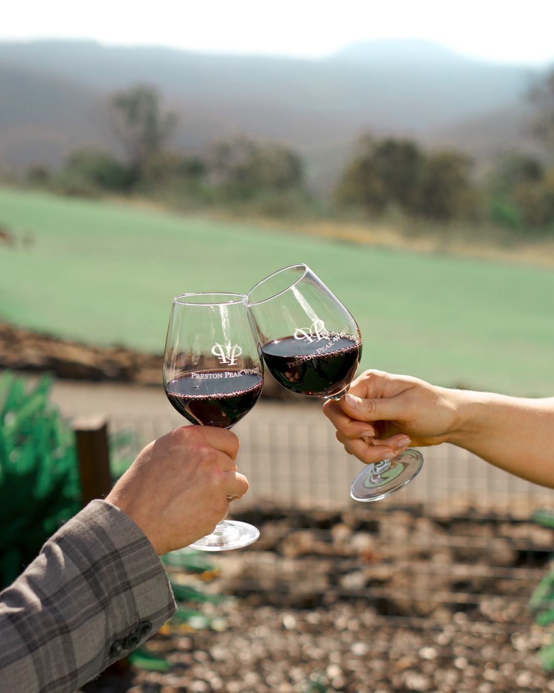 Two hands clink red wine glasses outdoors with a blurred vineyard in the background.