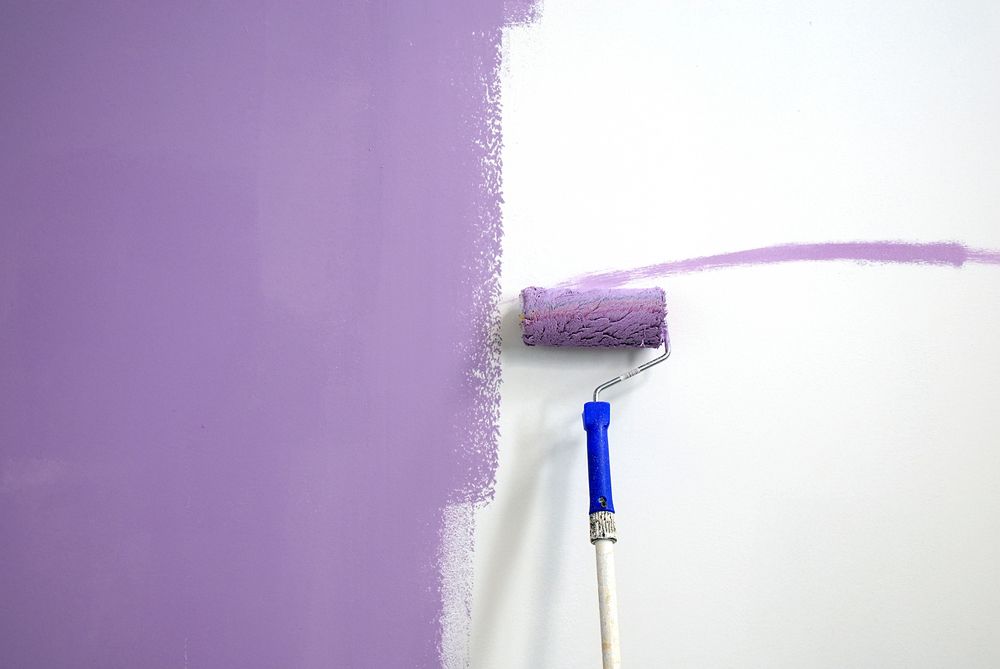 Wall Is Being Painted with Roller and Purple Colour — Yves De Wilde Quality Painting Services In Lismore, NSW