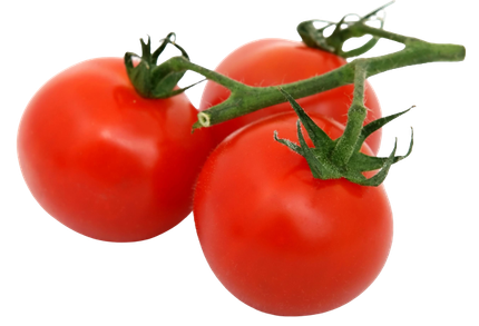 Tomatoes.