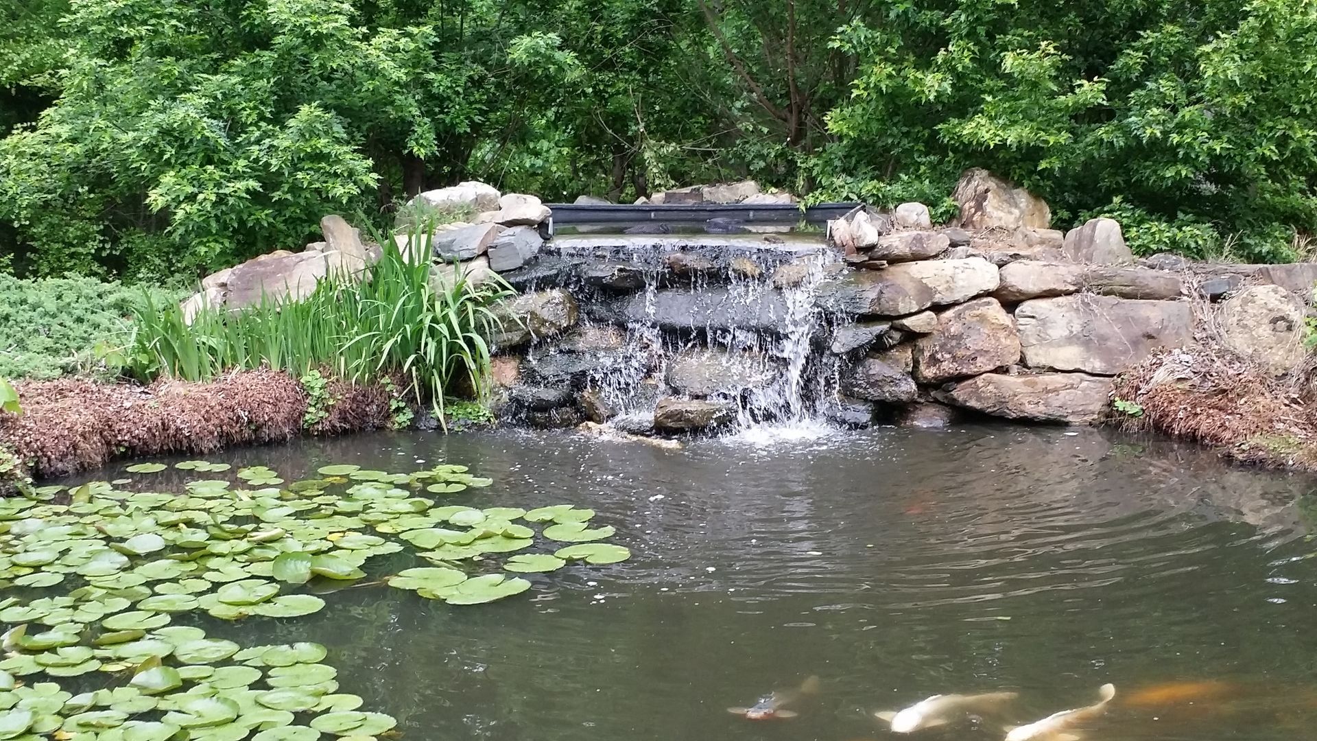 A pond with a waterfall and fish in it cherokee springs