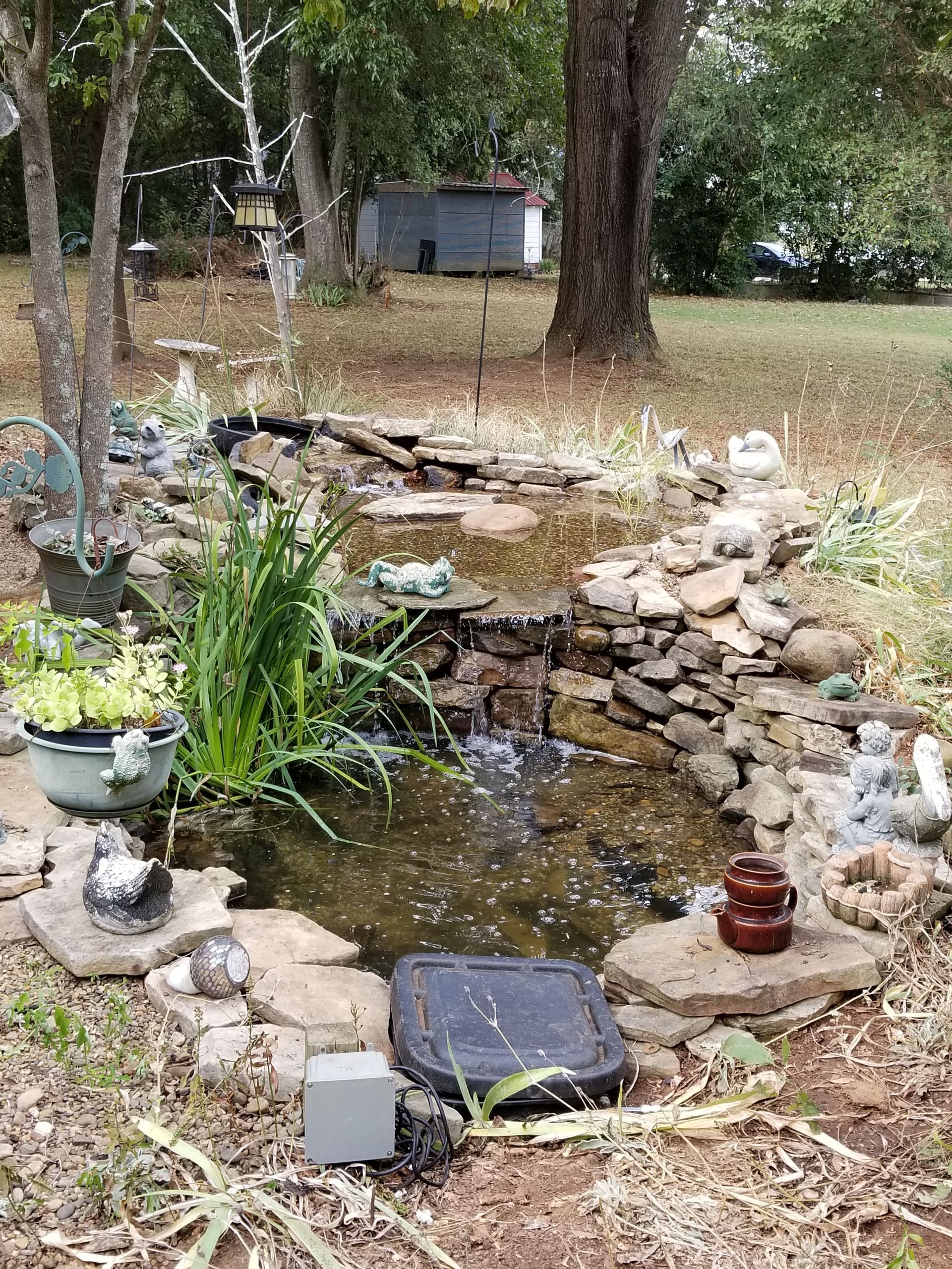 A small pond surrounded by rocks and plants in a yard. gaffney 