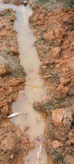A stream of water is running through a muddy field.