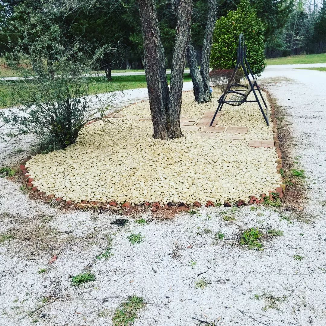 A tree is sitting in the middle of a pile of mulch. boiling springs 