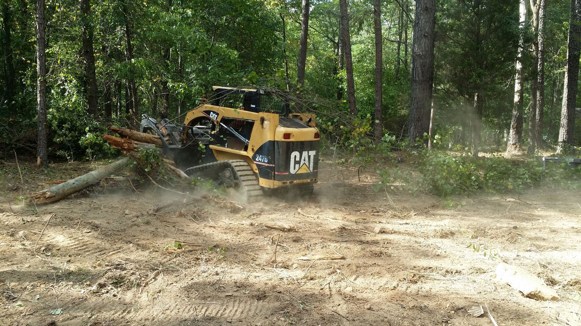A tractor is cutting down trees in the woods in Spartanburg.