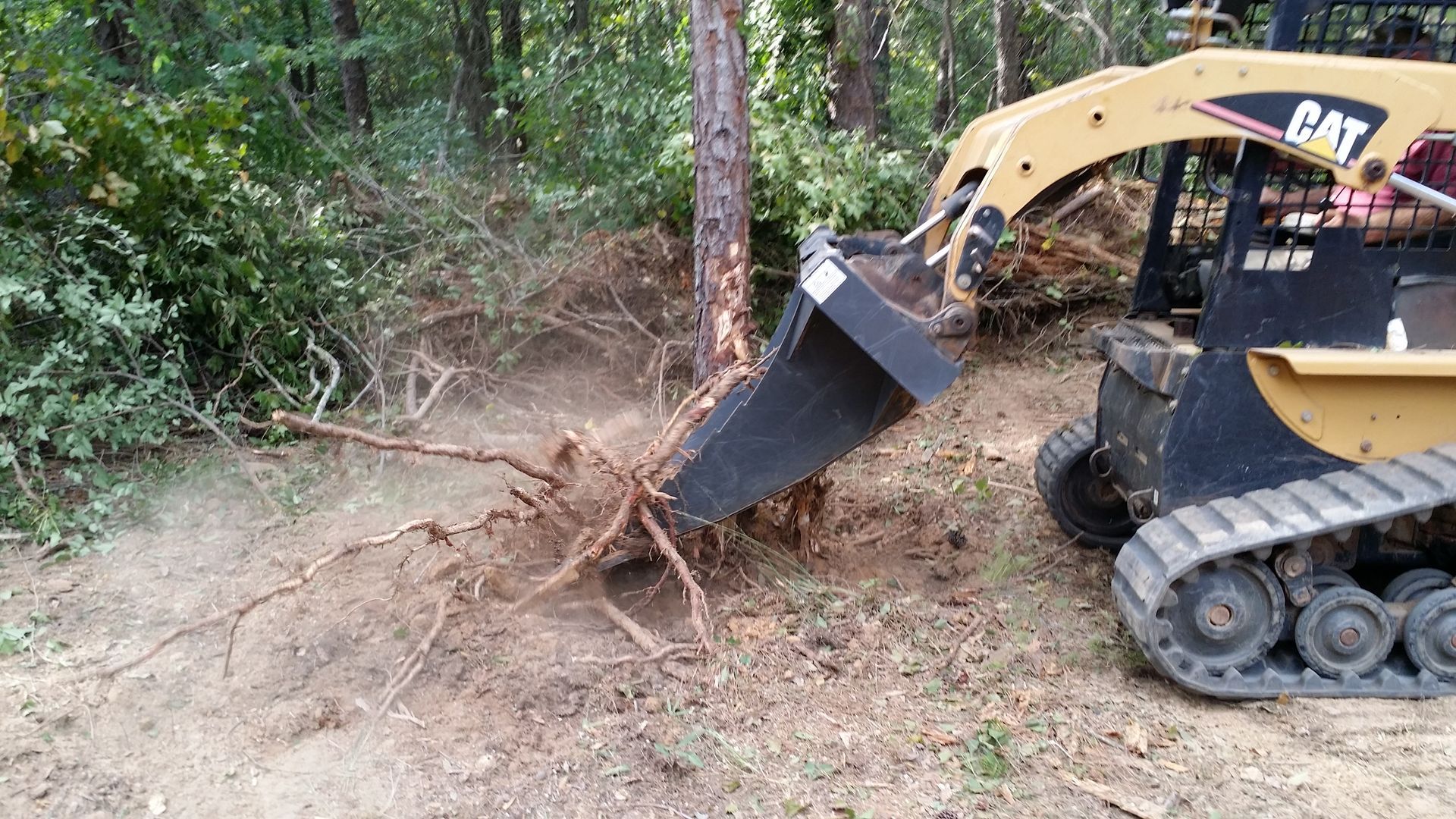 A bulldozer is pulling a tree stump out of the ground in Duncan.