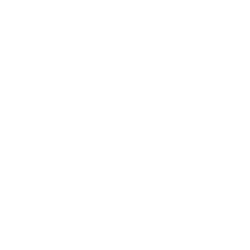 100% Satisfaction