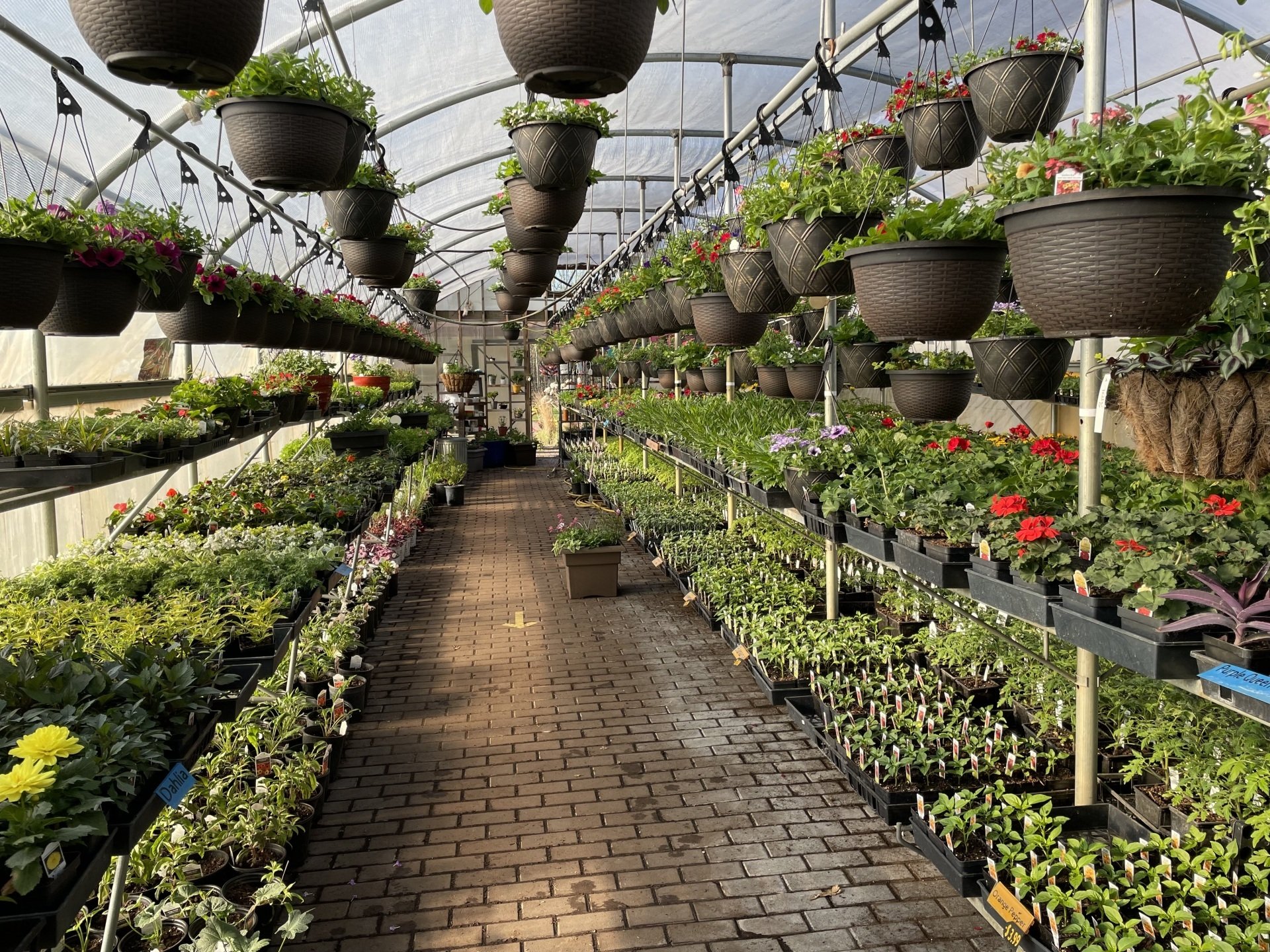 Landscaping Hardscaping Gallery Princeton MN