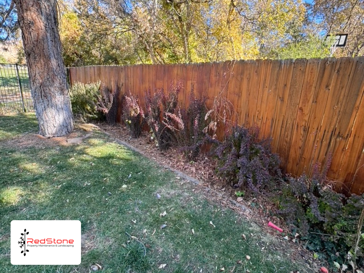 Landscaping bed cleanup and shrub maintenance along fence line in Bountiful Utah residential yard
