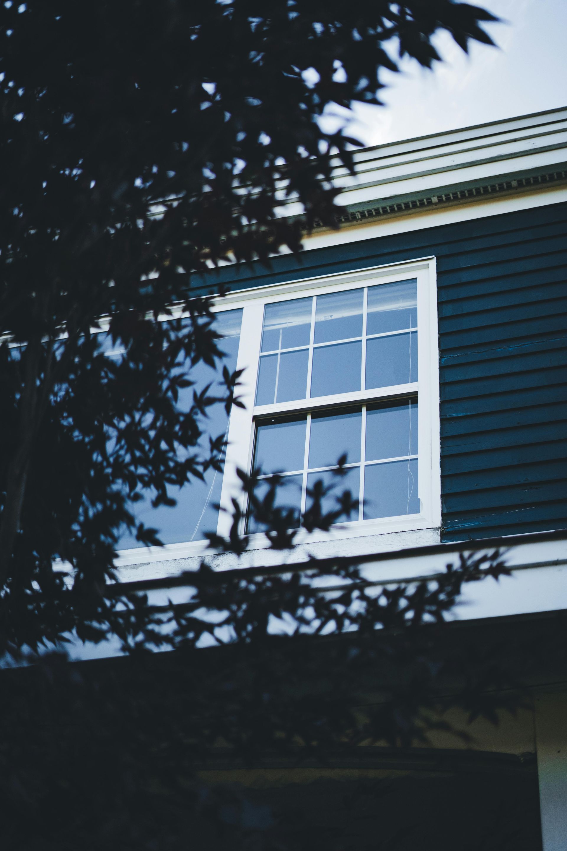 Blue house window framed by tree branches and leaves