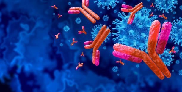 Immunologie - Laboratoire Ibn Rochd