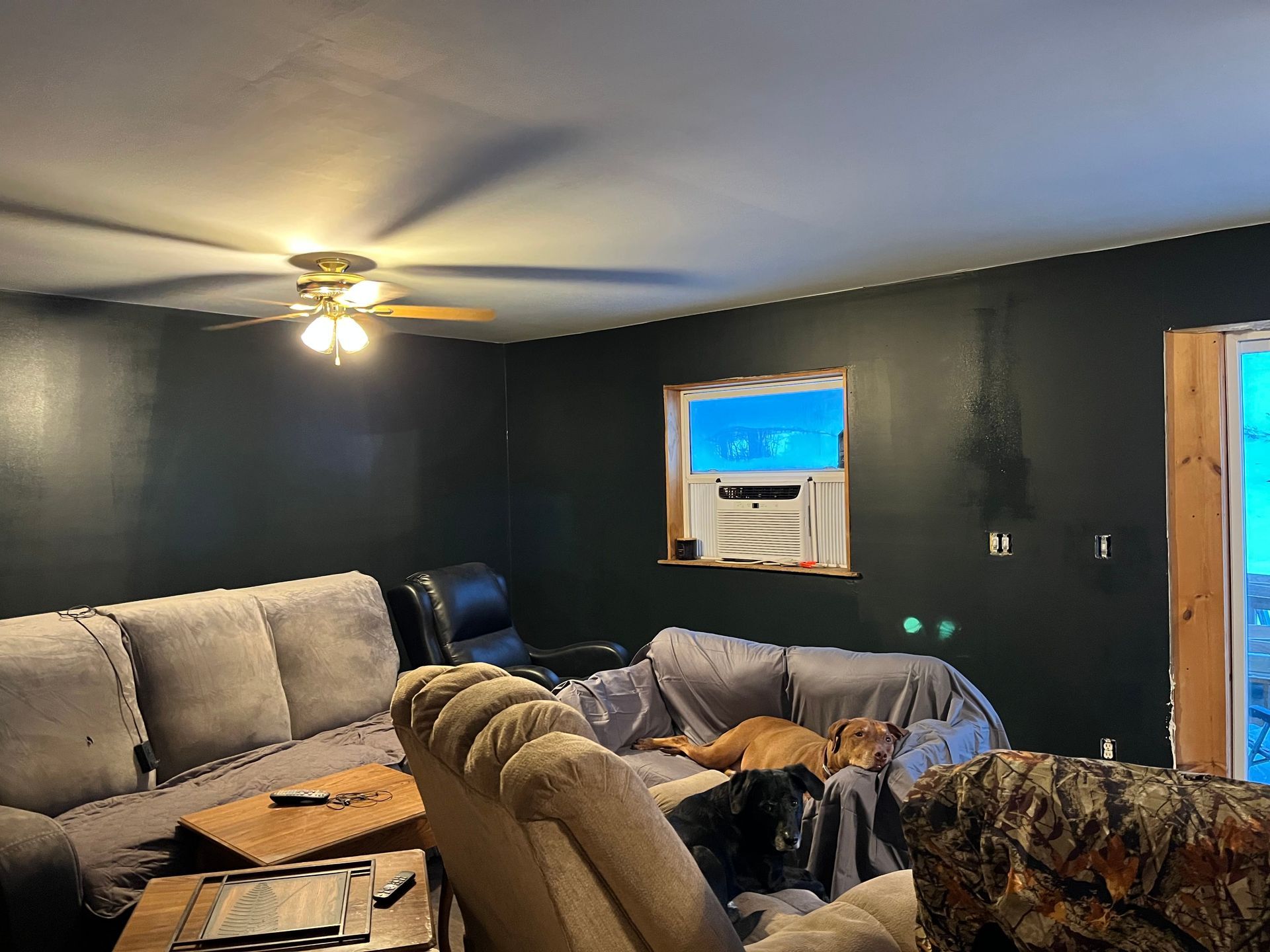 A living room with dark gray walls, a ceiling fan, light-colored sofas, and two dogs resting on the furniture.