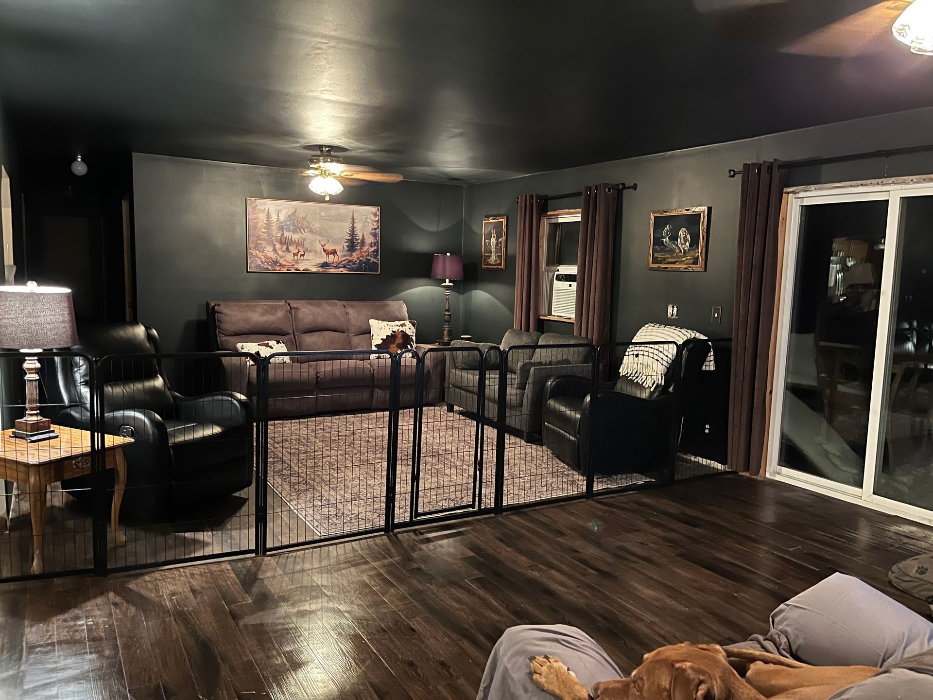 A living room with dark walls and floors features a couch and two chairs enclosed by a black metal pet gate.