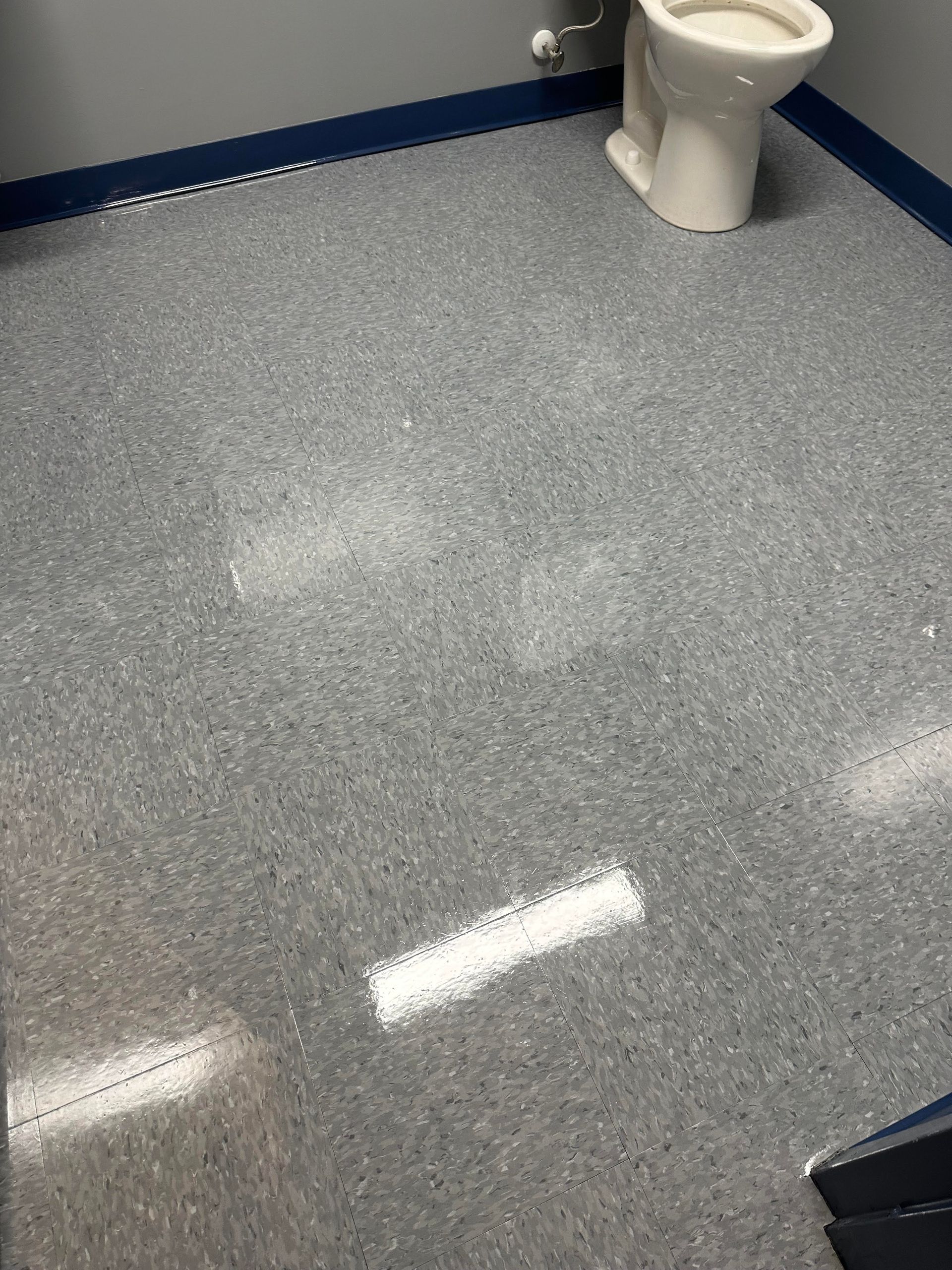 Gray speckled floor in a public restroom with a white toilet and blue trim.