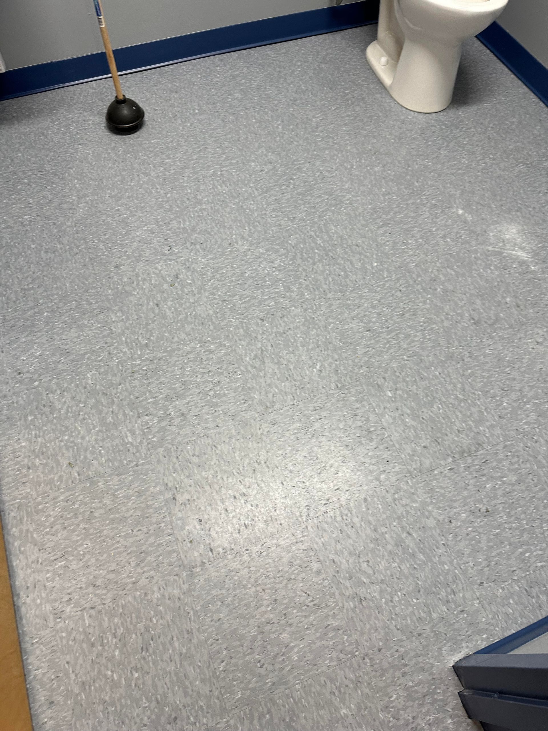 Gray speckled floor in a restroom with a toilet and plunger. Blue trim at the floor's edge.