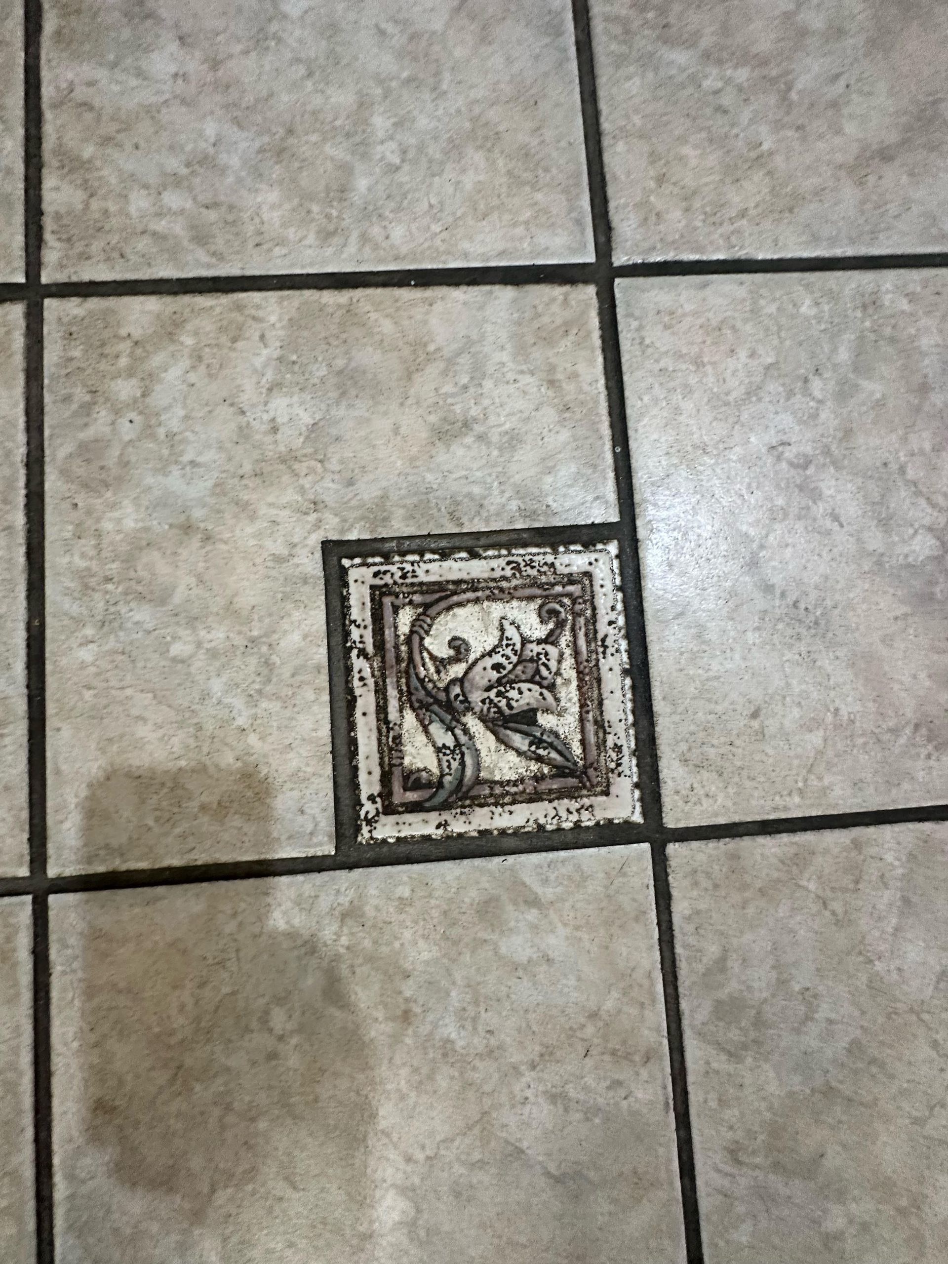 Tile floor with a decorative central tile depicting a dark, ornate figure.