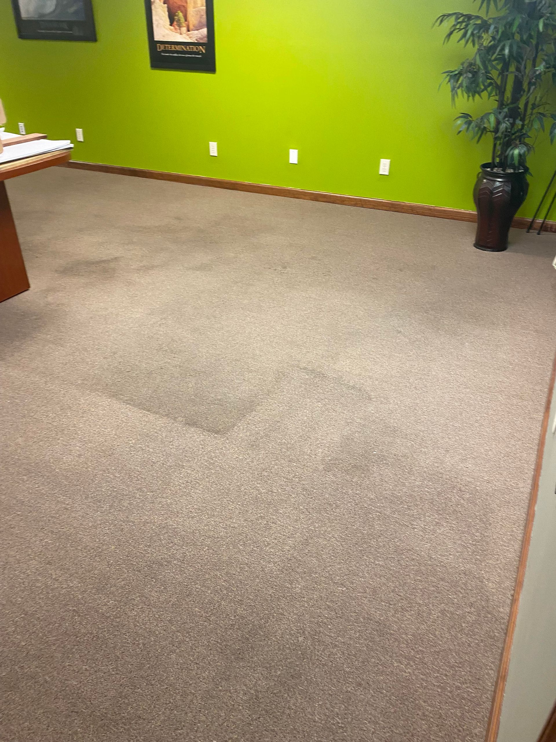 Tan carpeted office floor with green wall, artwork, and a potted plant.