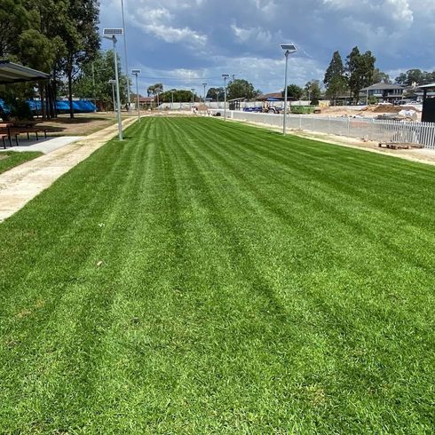 Turf in Field — Sydney, NSW — Qualturf Turf in Field — Sydney, NSW — Qualturf