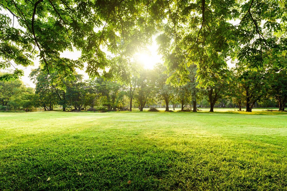 Parks — Sydney, NSW — Qualturf