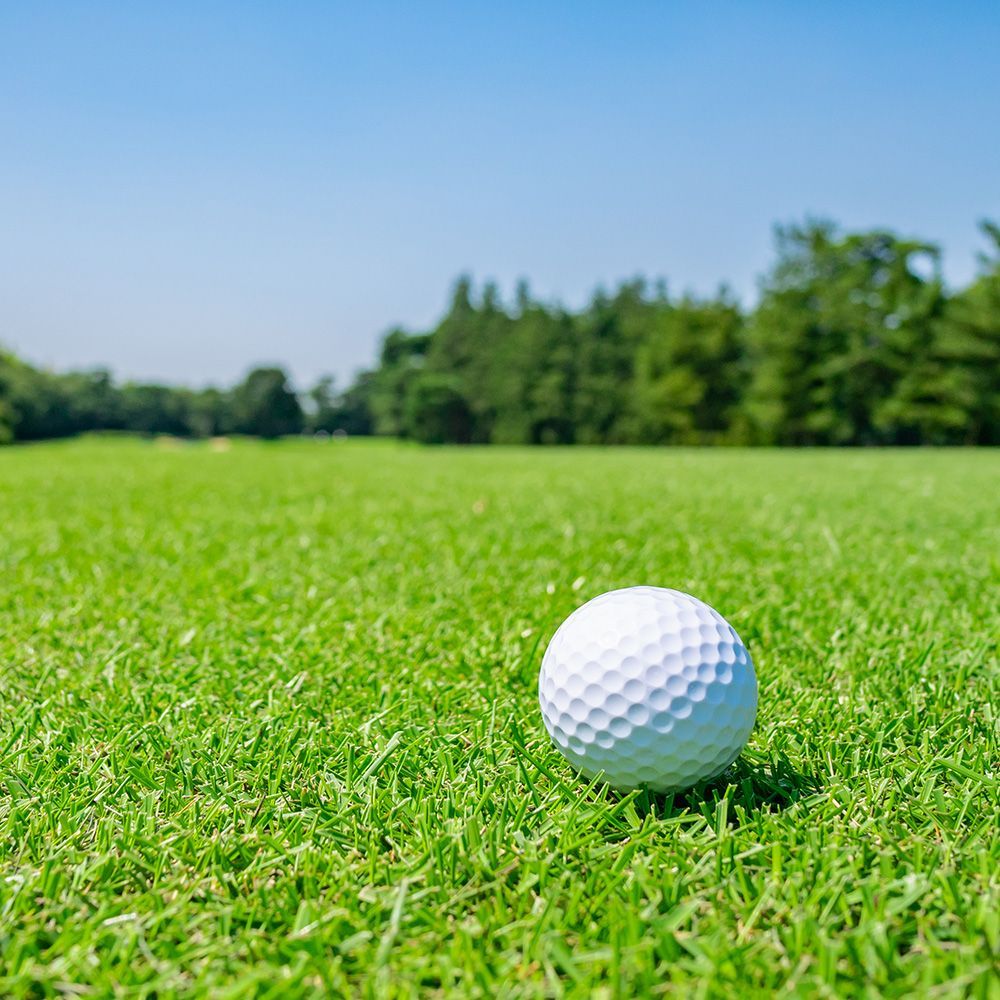 Turf for Golf Courses — Sydney, NSW — Qualturf Turf for Golf Courses — Sydney, NSW — Qualturf