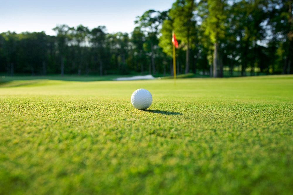Golf Courses — Sydney, NSW — Qualturf