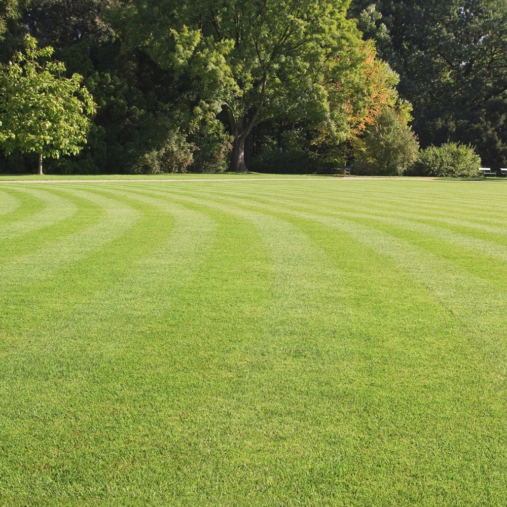 Turf for Parks — Sydney, NSW — Qualturf Turf for Parks — Sydney, NSW — Qualturf