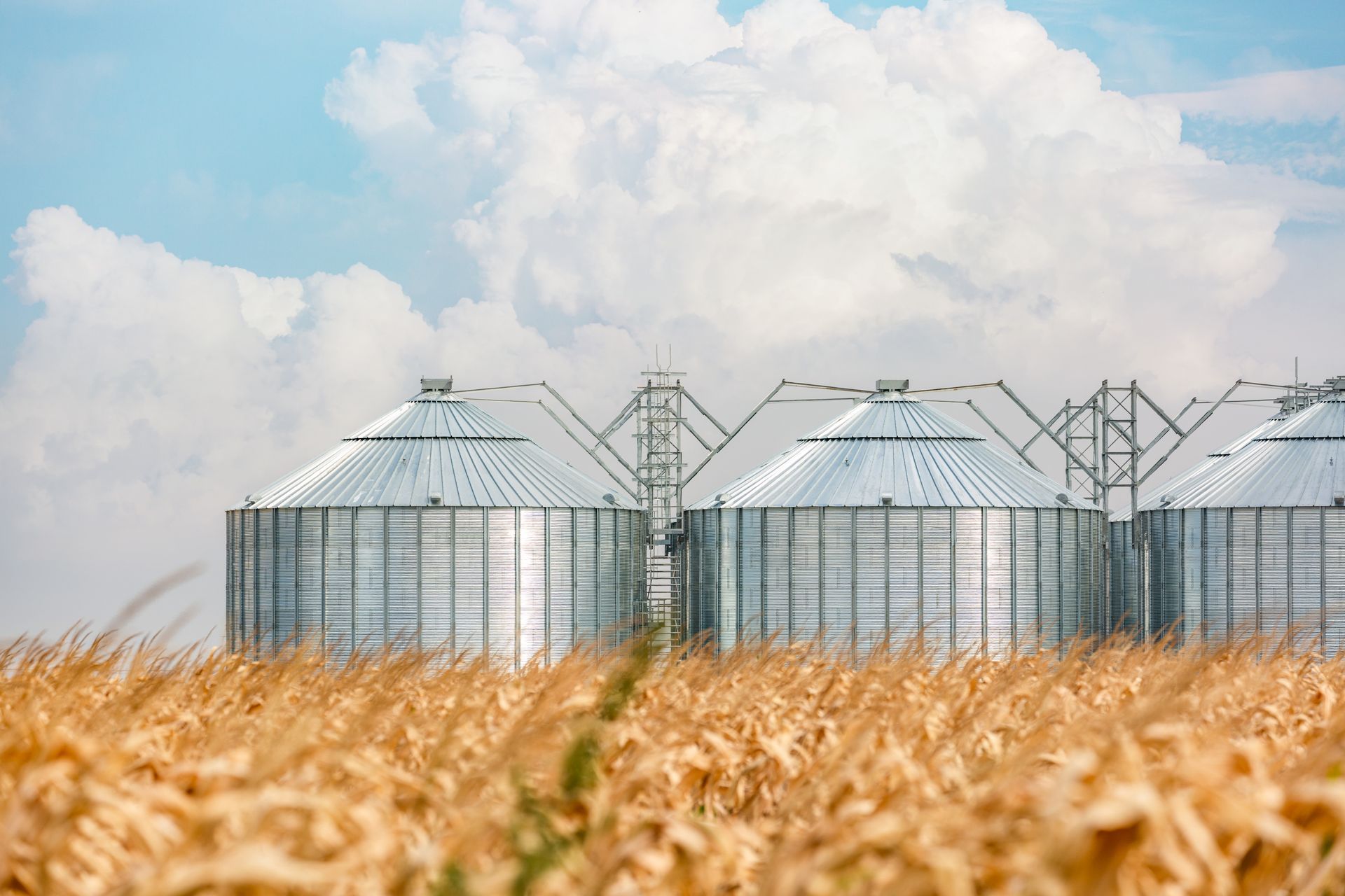 Silos per cereali in un campo di grano sotto un cielo azzurro nuvoloso.