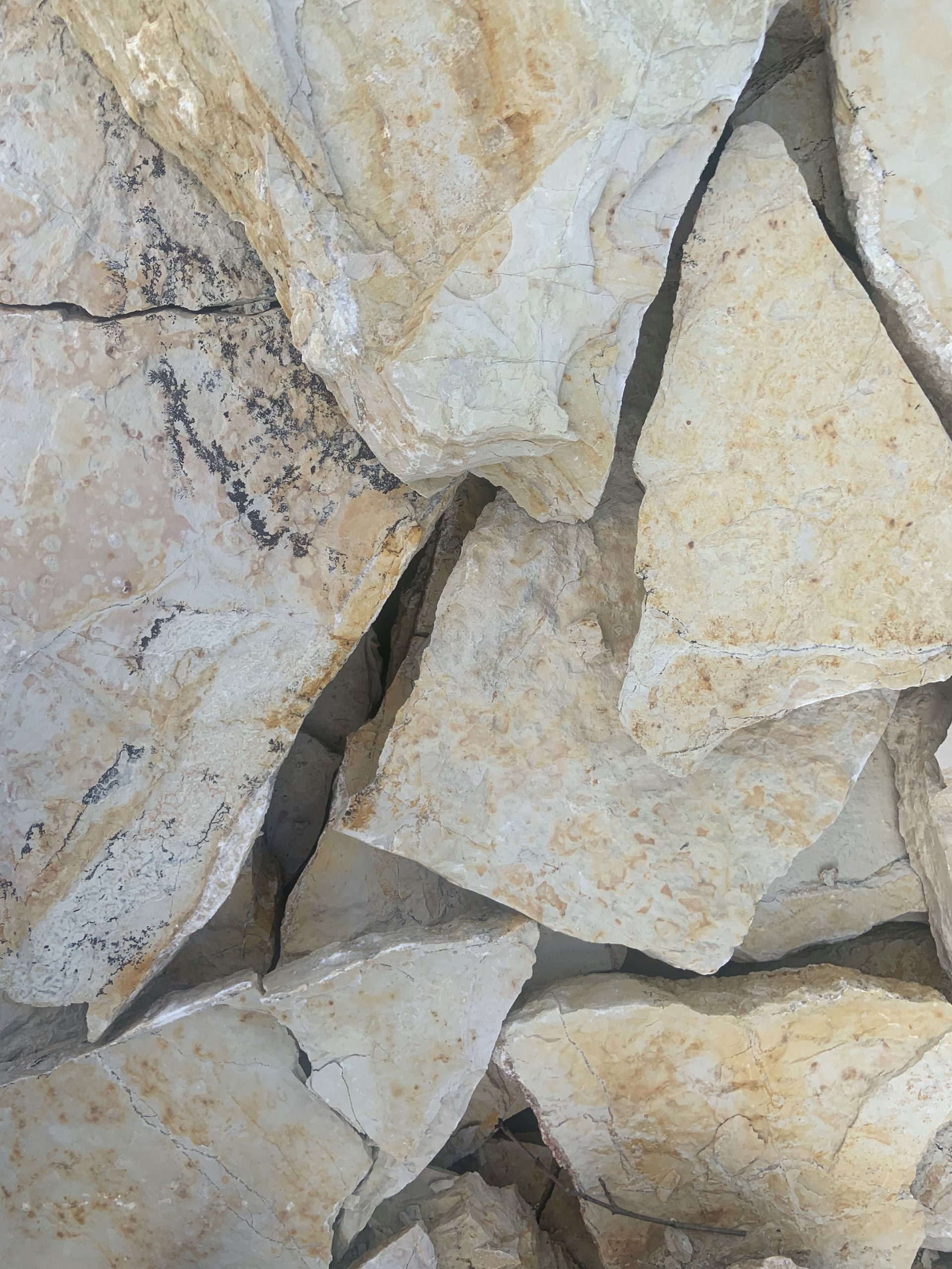 Flagstones