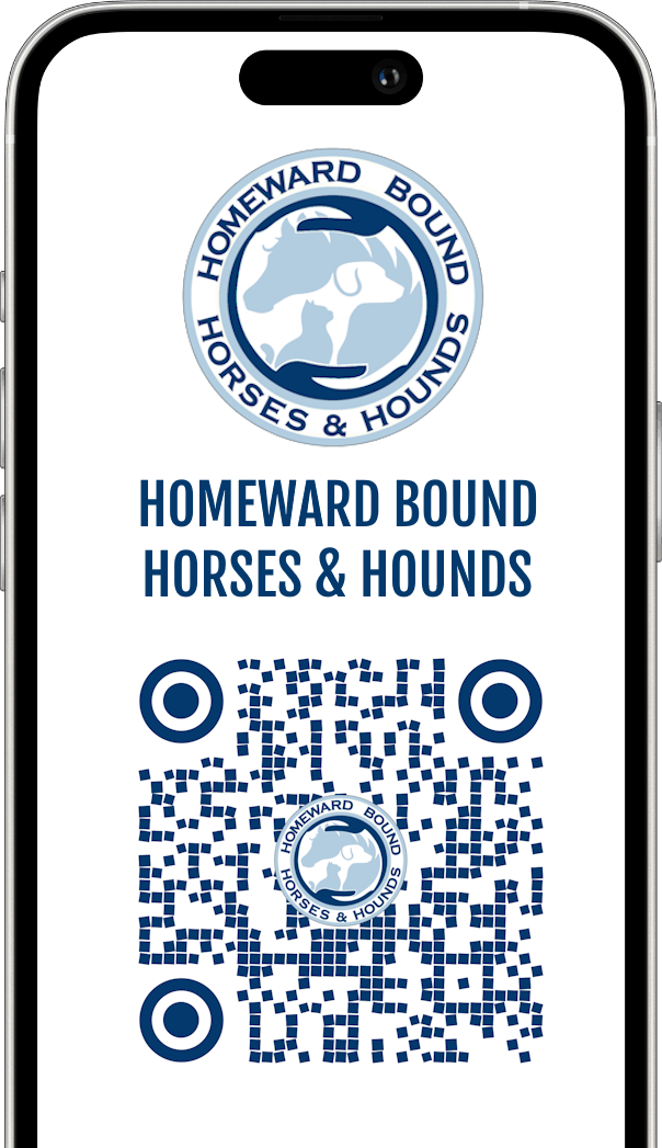 Homeward Bound Horses and Hounds Animal Rescue in Ocala