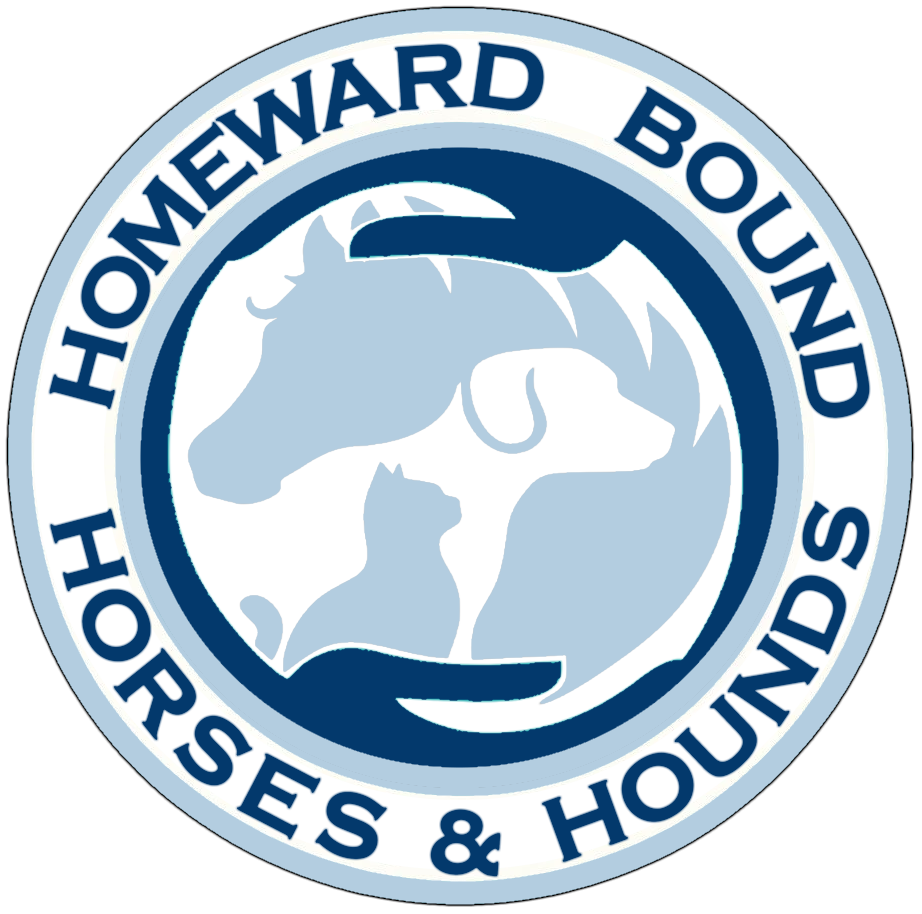 Homeward Bound Horses and Hounds Animal Rescue in Ocala