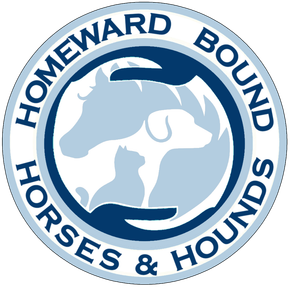 Homeward Bound Horses and Hounds Animal Rescue in Ocala