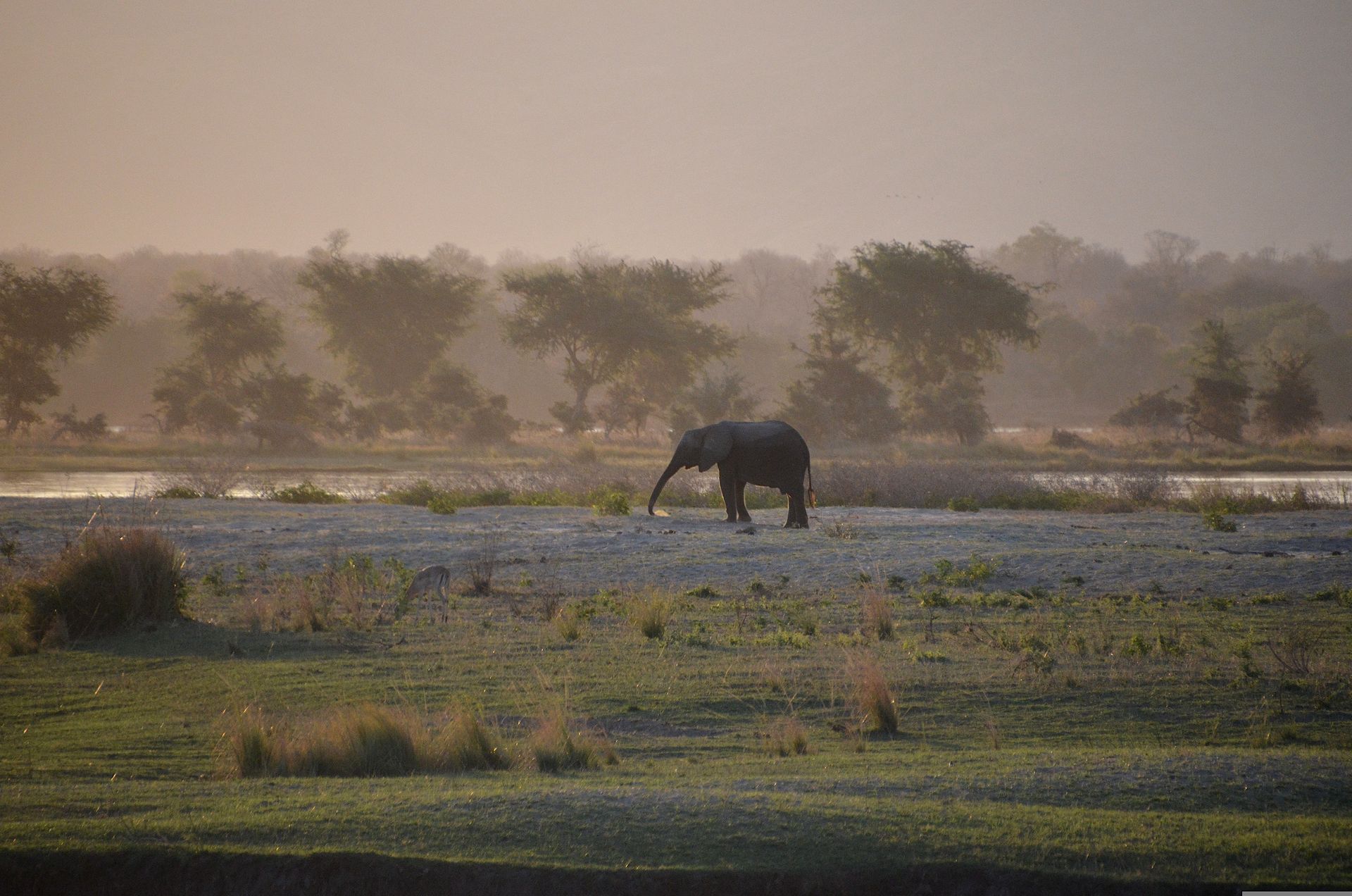 Luxury Focus Safaris - Best of Zimbabwe Safari - 9 Nights