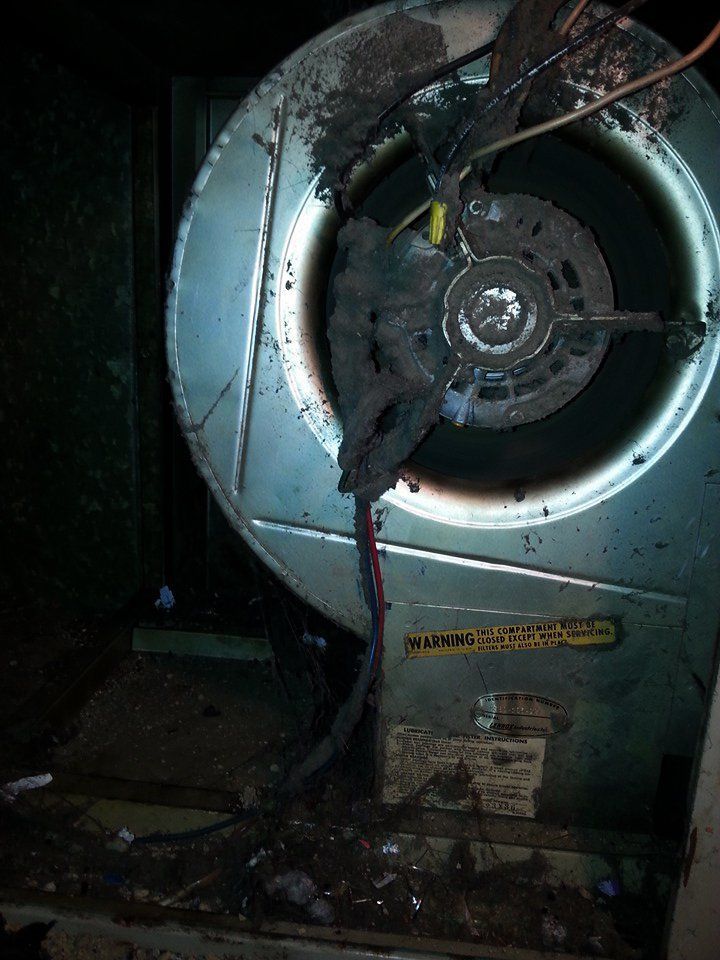Burnt HVAC blower fan with melted wires and debris inside an appliance.