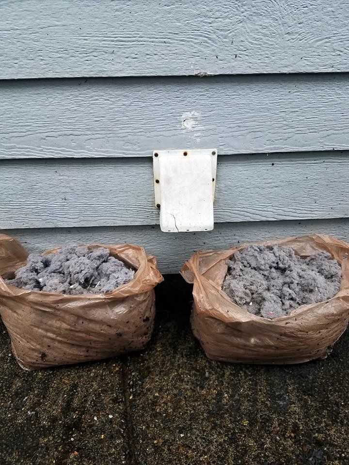 Two bags of lint next to a dryer vent on blue siding.