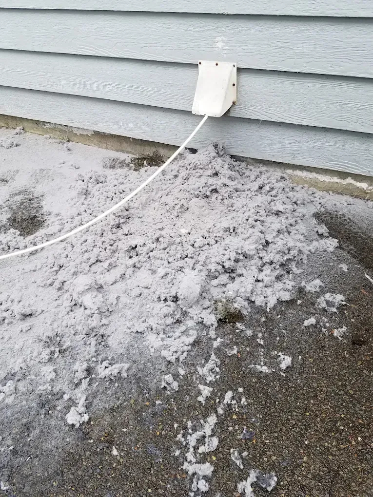 Pile of gray lint on pavement below a dryer vent on a light blue house exterior.