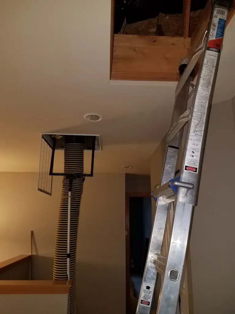 A ladder leading to an attic access. A ventilation hose extends down. Neutral-colored walls.