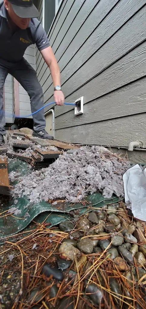 Man cleaning a dryer vent on the side of a house, clearing a large pile of lint.